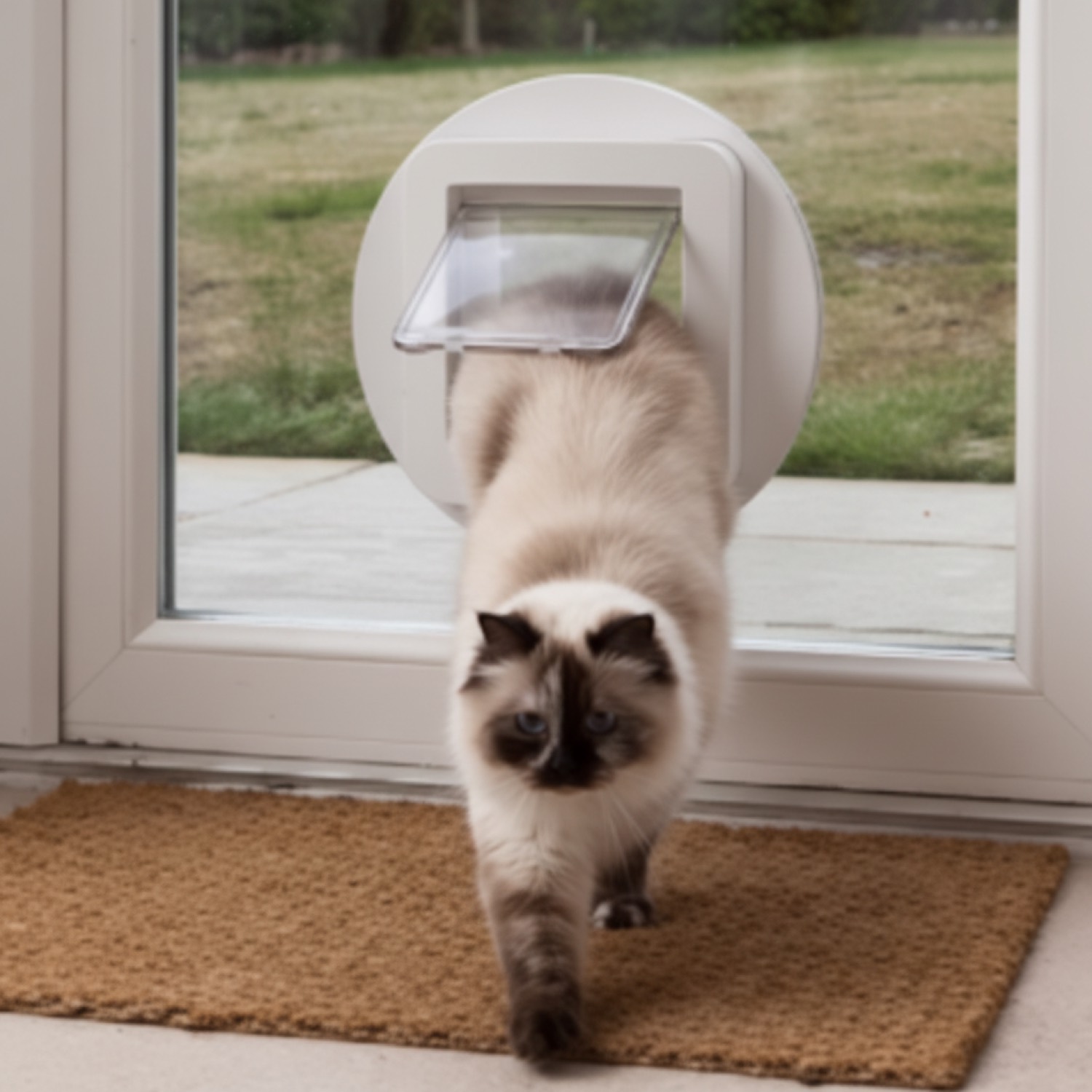 Glass pet doors