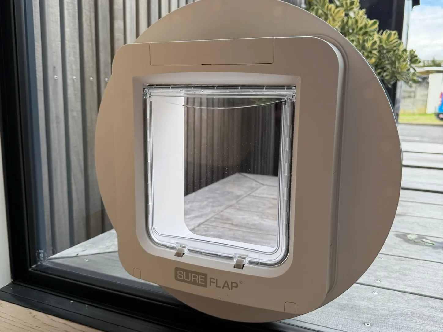 microchip cat door installed glass door tauranga first glass solutions